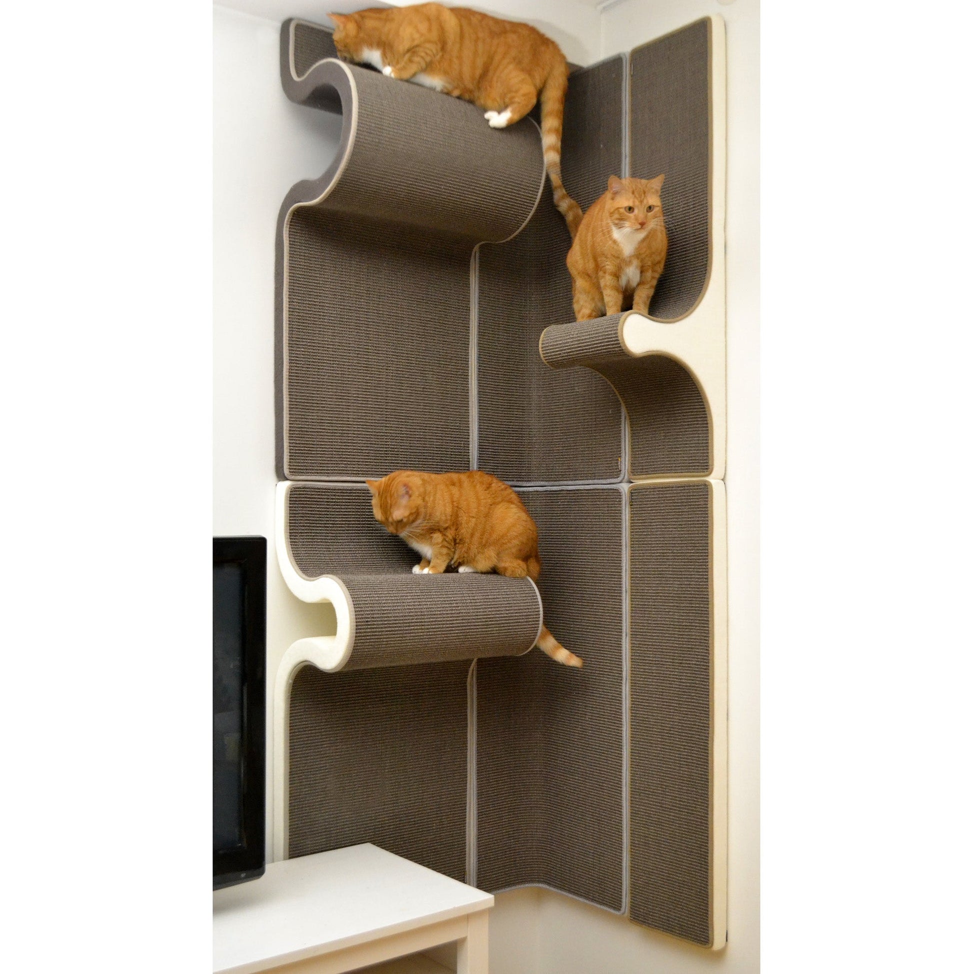 Kissan kiipeilyseinä Tutti i Gatti+ - isot sarjat TiG+71_Base_CNR - Ananimalab.com