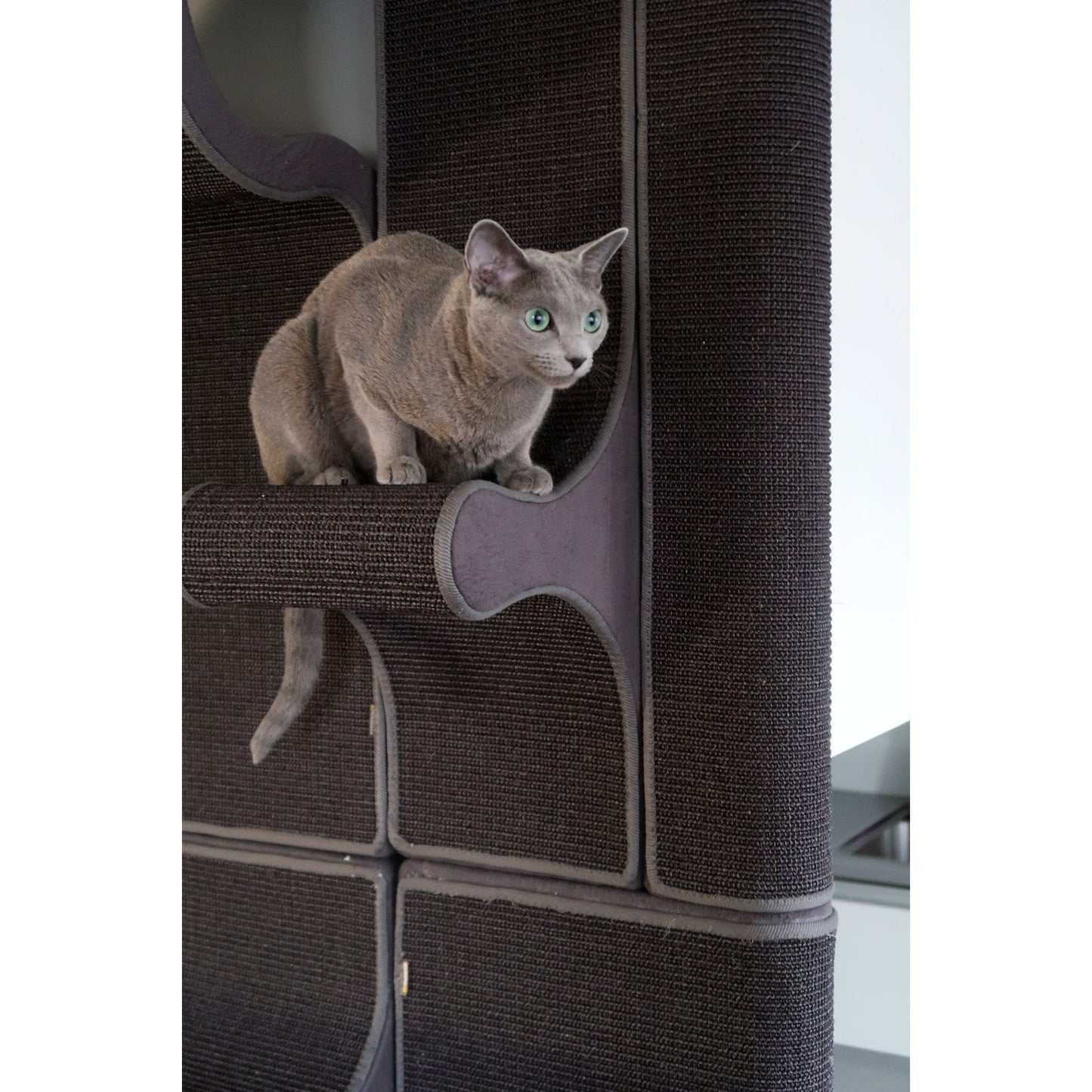 Kissan kiipeilyseinä Tutti i Gatti+ - isot sarjat TiG+8__Base - Ananimalab.com