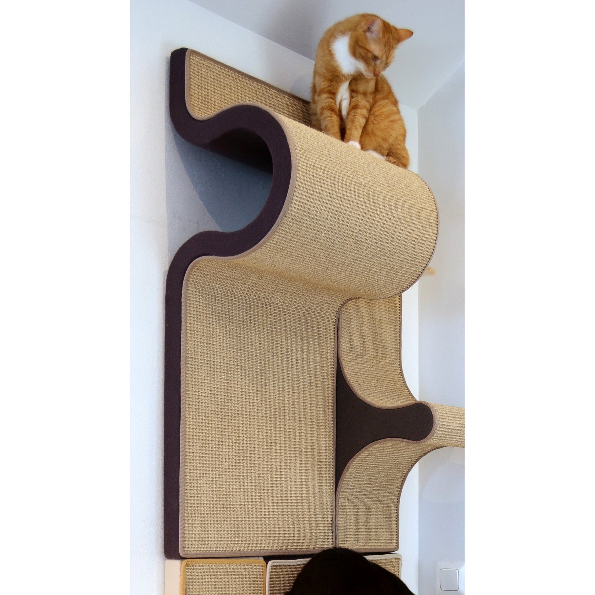 Kissan kiipeilyseinä - Tutti i Gatti+ - pesäelementti P3 - Ananimalab.com
