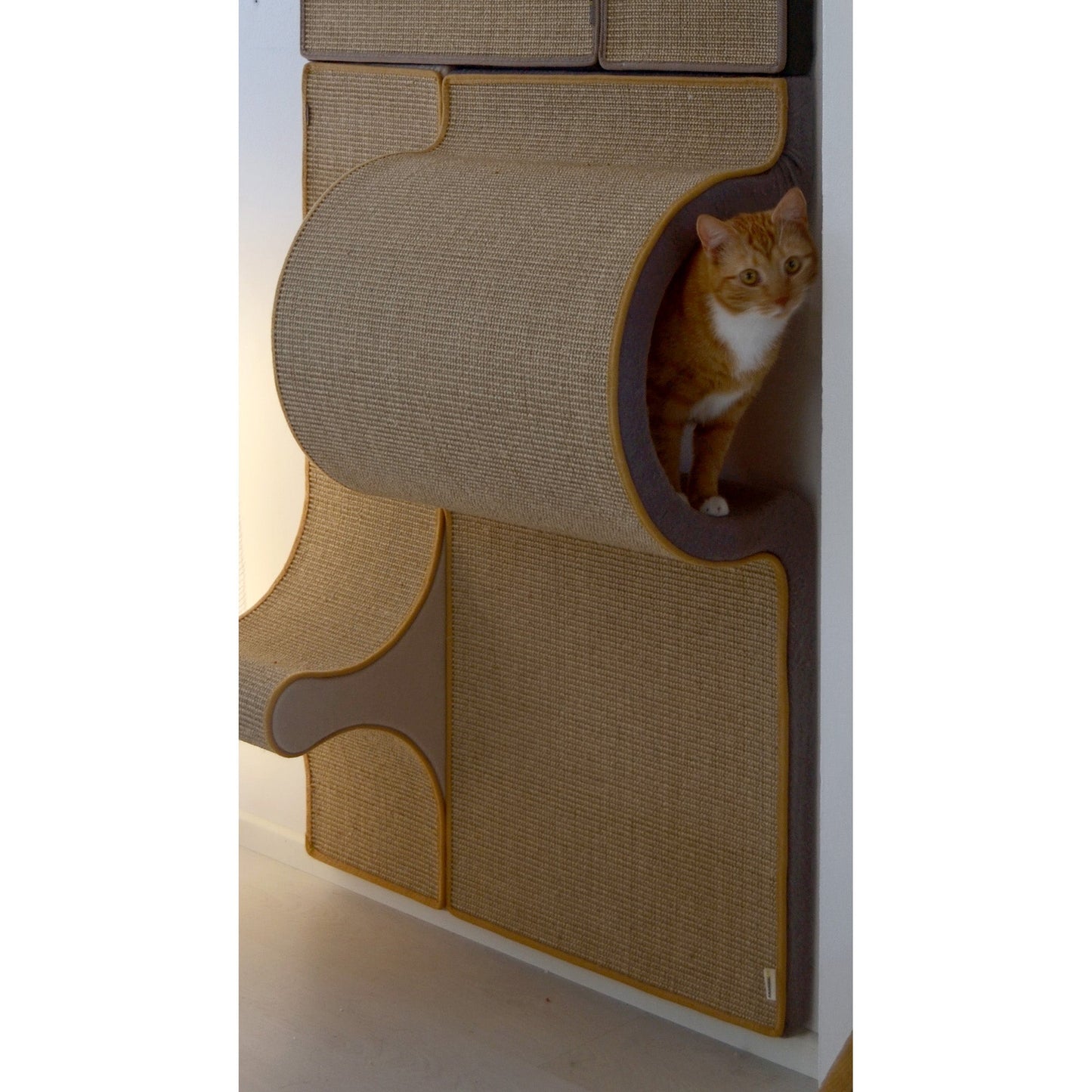 Kissan kiipeilyseinä - Tutti i Gatti+ - pesäelementti P4 - Ananimalab.com