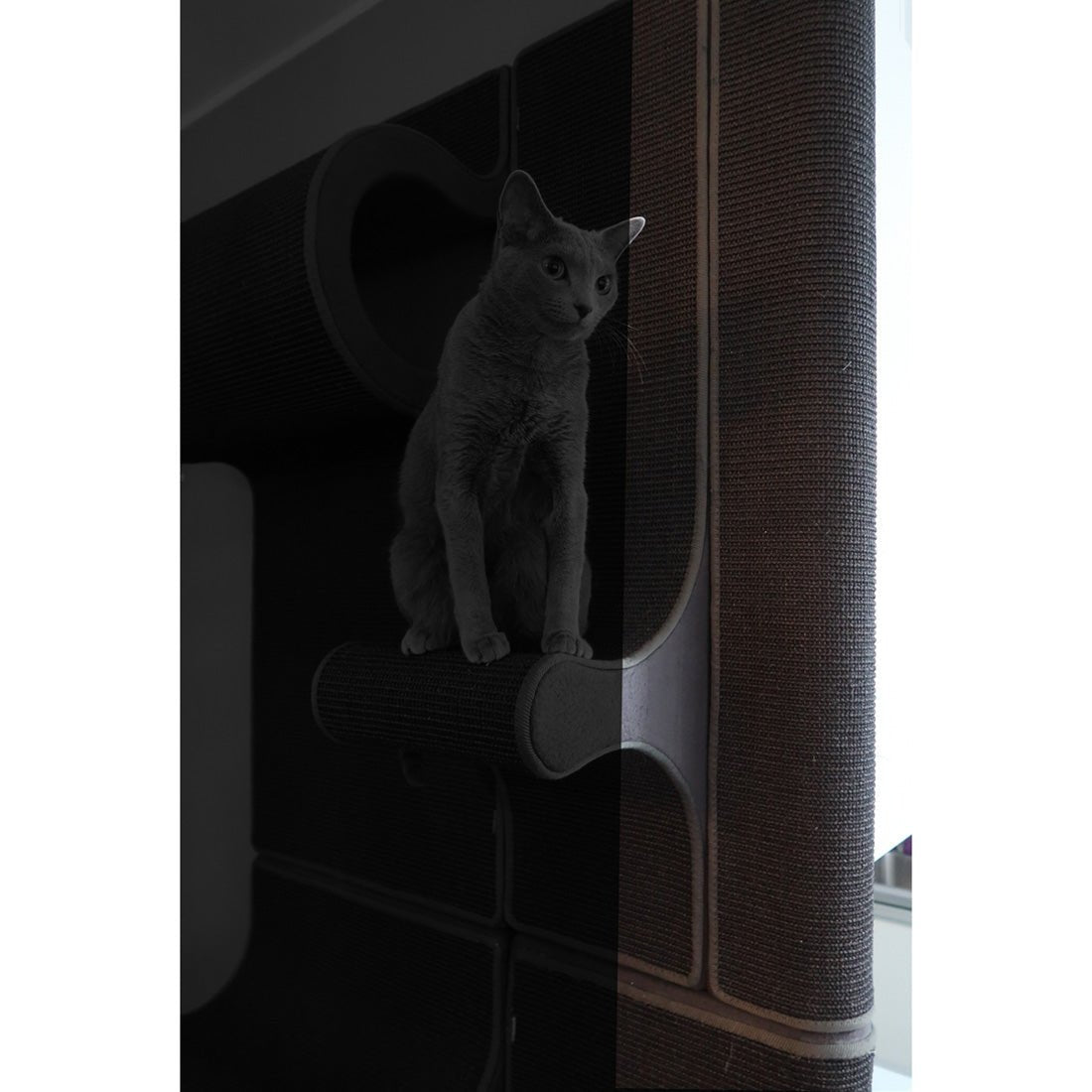 Kissan kiipeilyseinä - ulkonurkkaelementti TiG+8 - 1_OCNR_el - Ananimalab.com